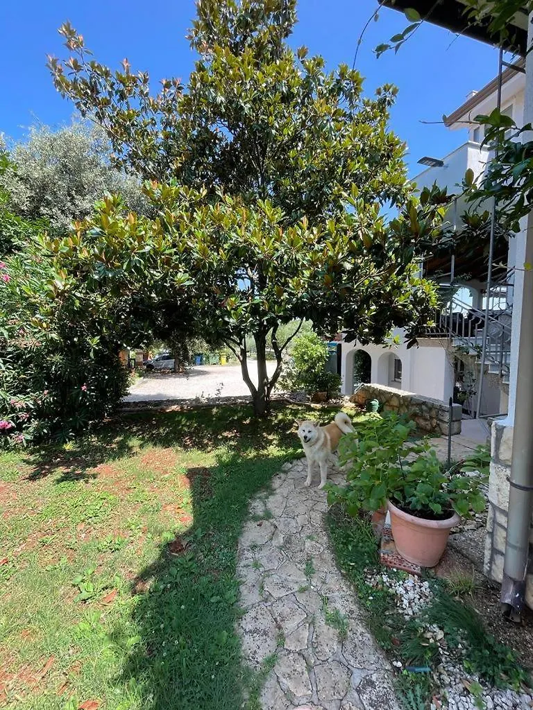 Apartmani Rozi Umag Croatia